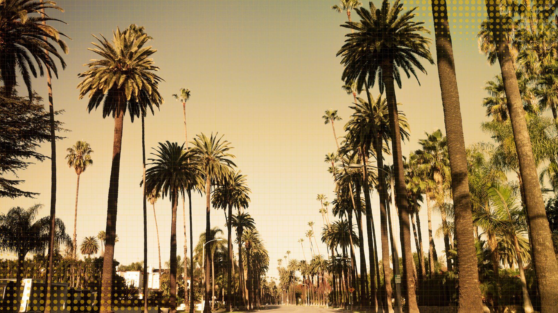 The Rise of Luxury Wellness Retreats in Malibu